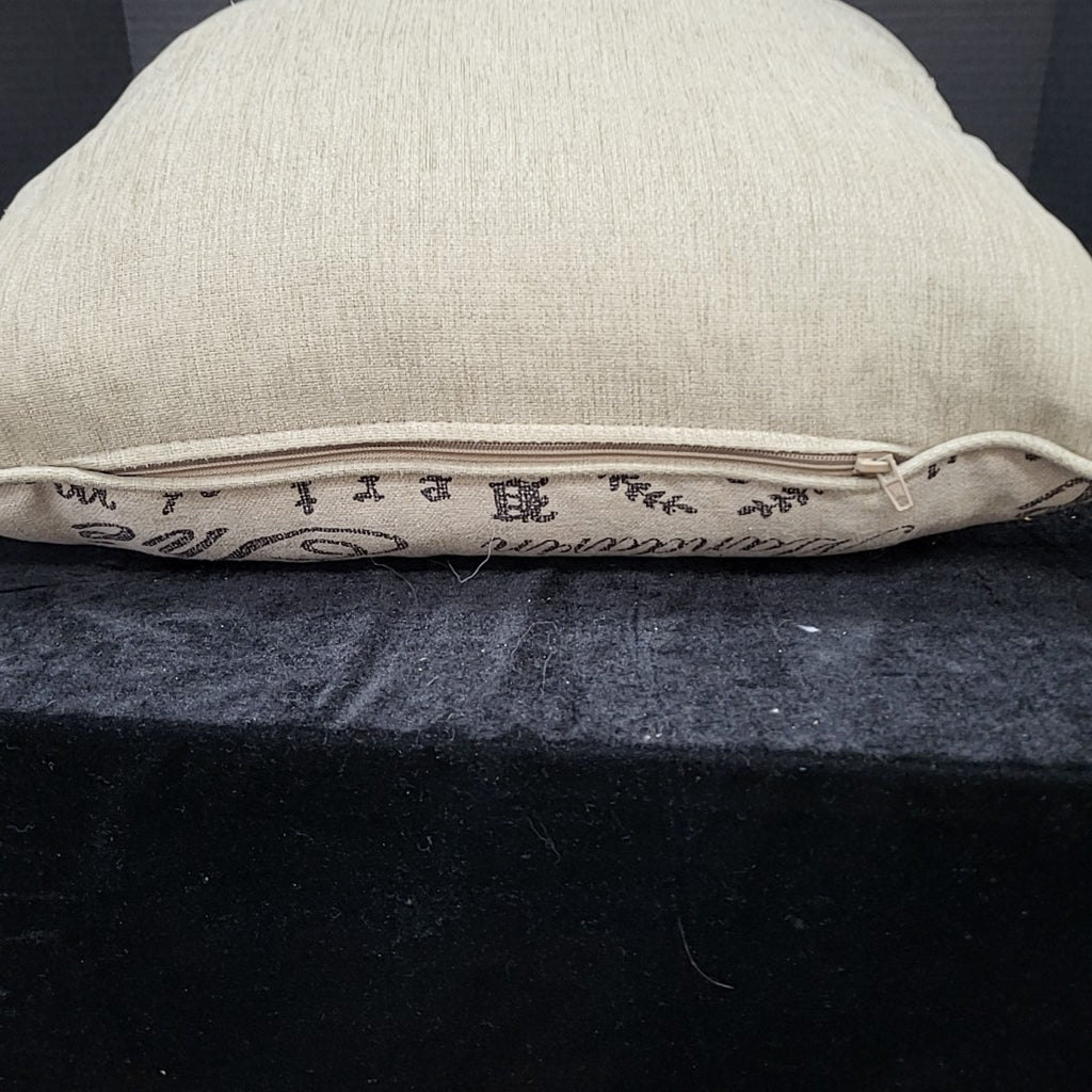 Throw Pillow