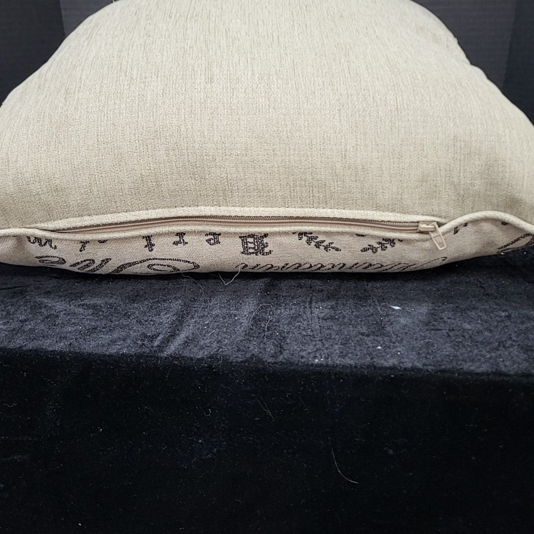 Throw Pillow