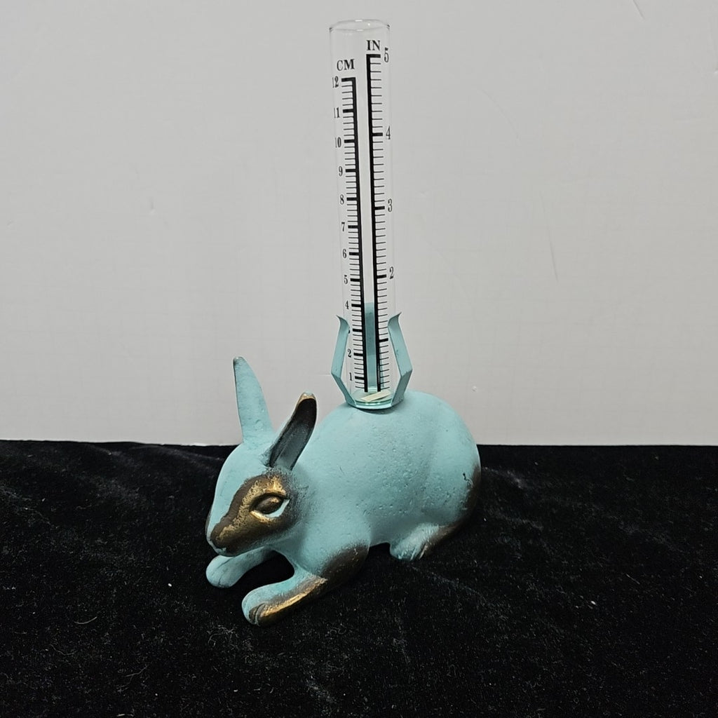 Rain Gauge