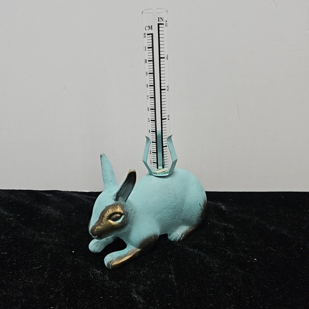 Rain Gauge