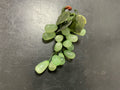 Bunch of Grapes