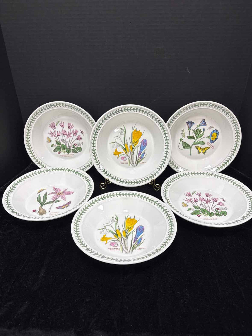 Portmeirion Rimmed Soup Bowl