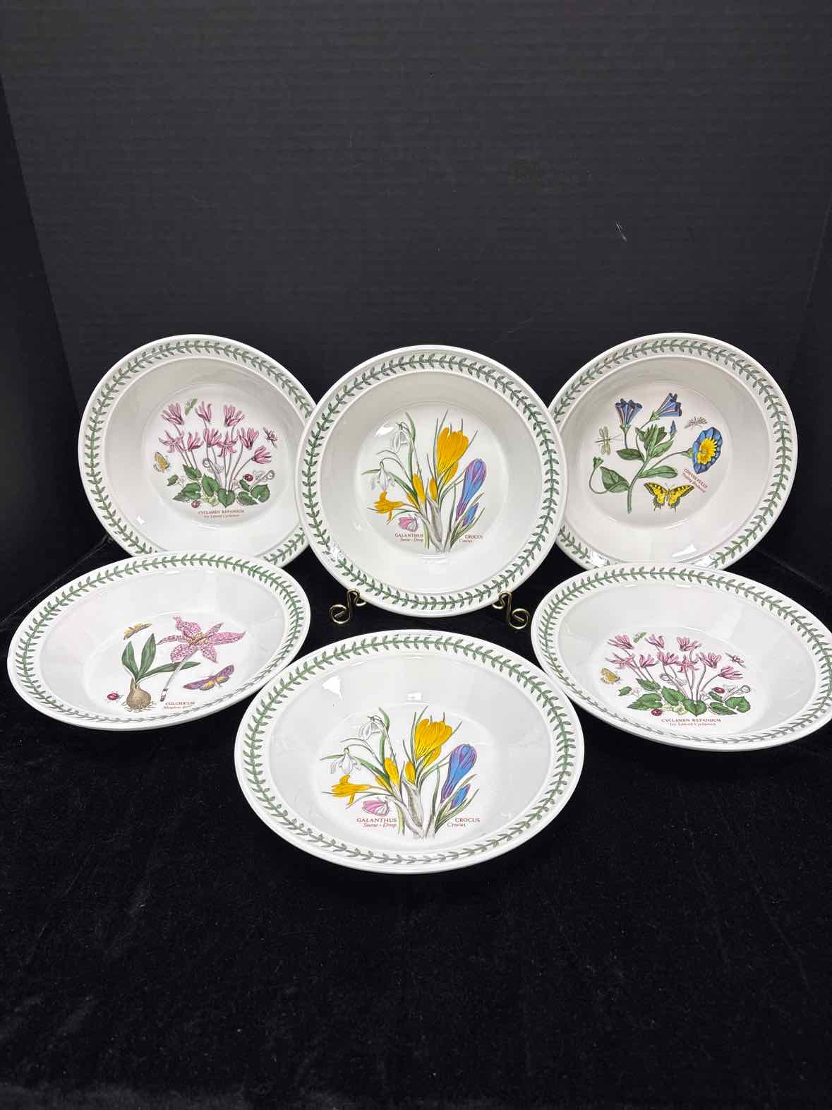 Portmeirion Rimmed Soup Bowl