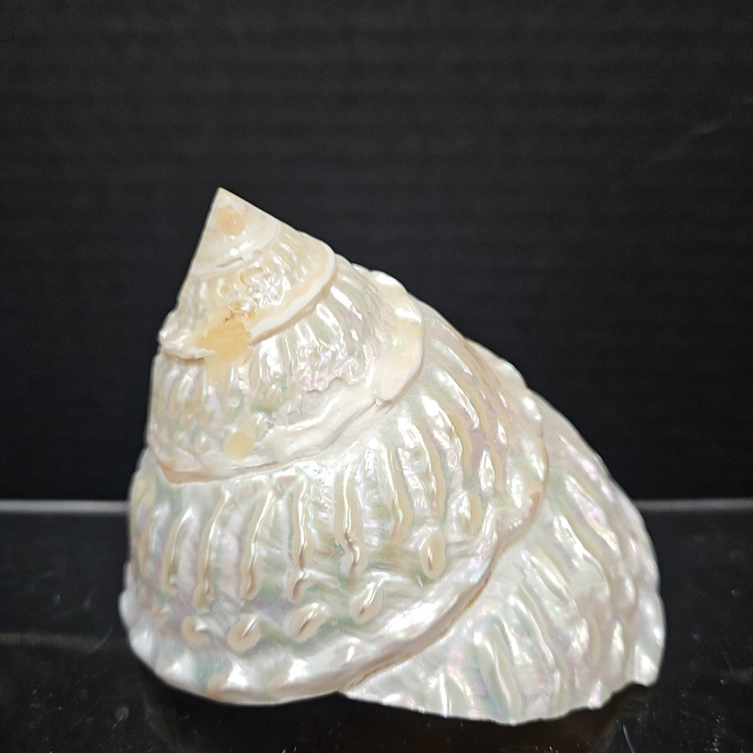 Shell