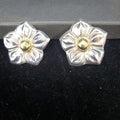 Clip Earrings