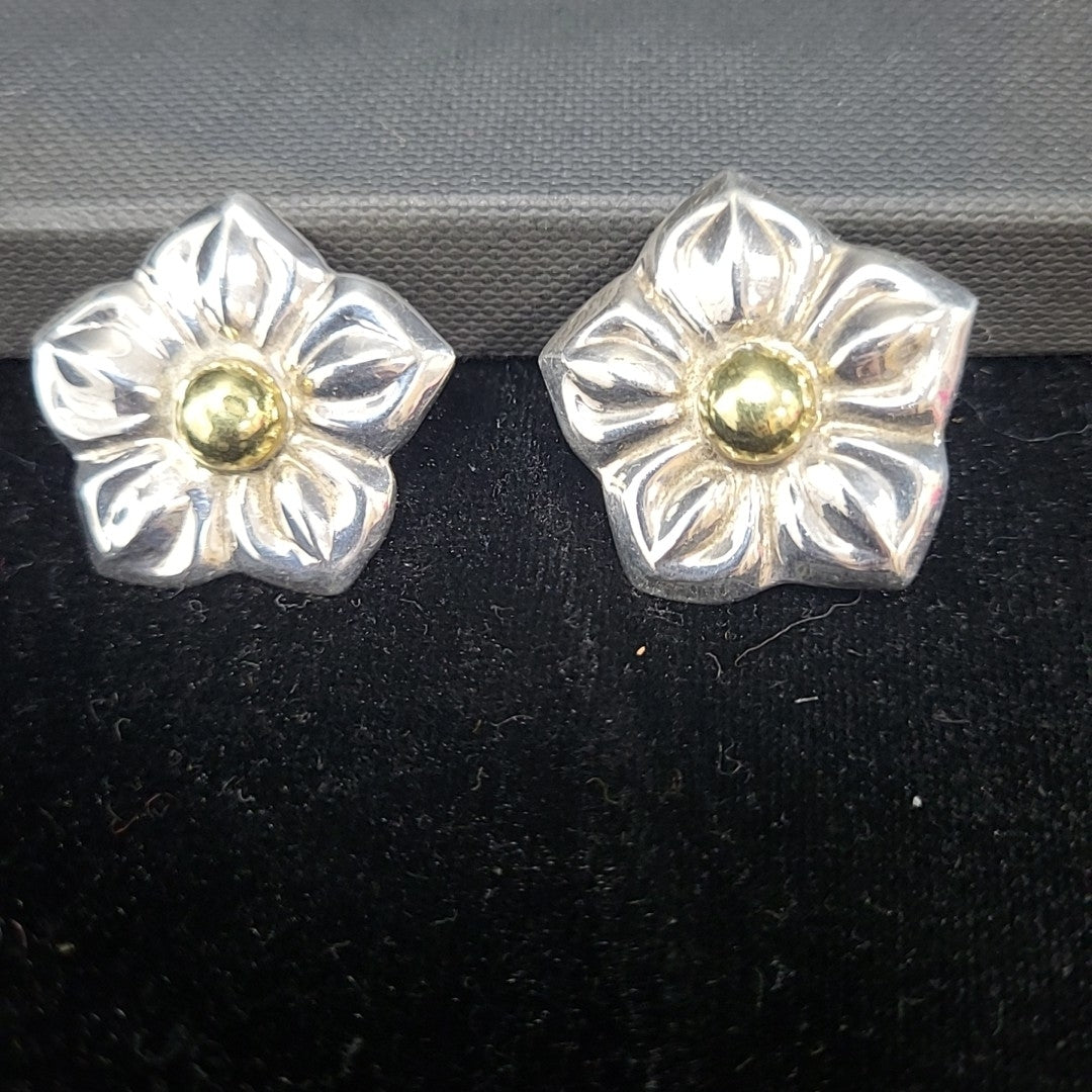 Clip Earrings