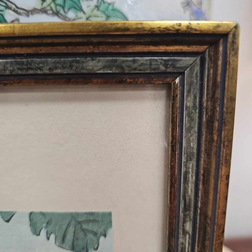 Framed Print