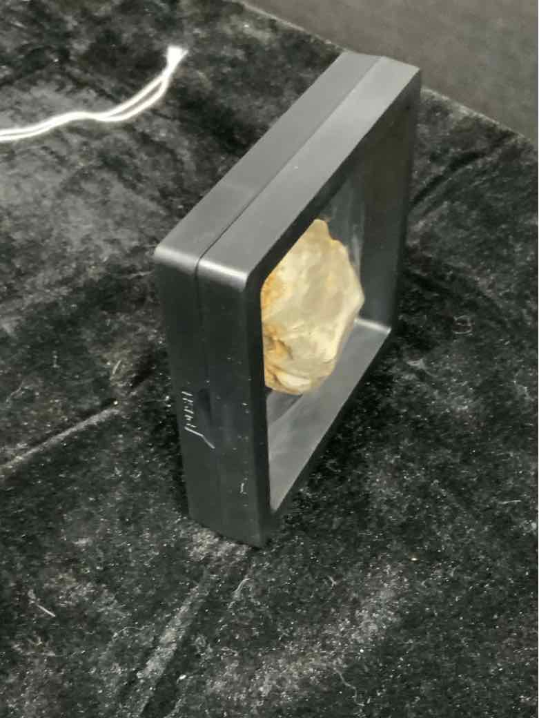 Fossil