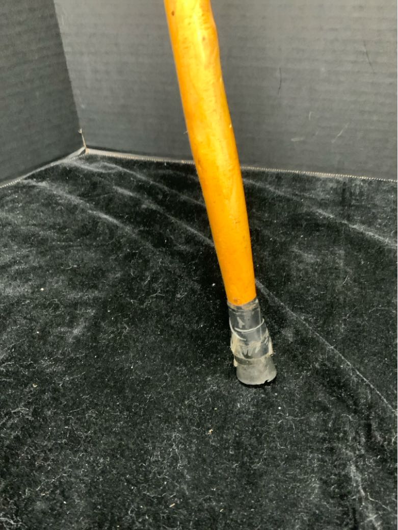Walking Stick