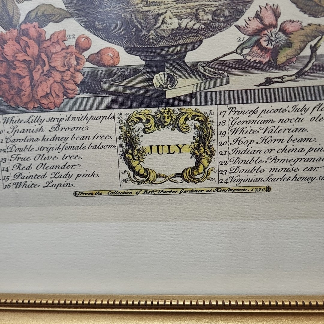 Robert Furber Wall Art