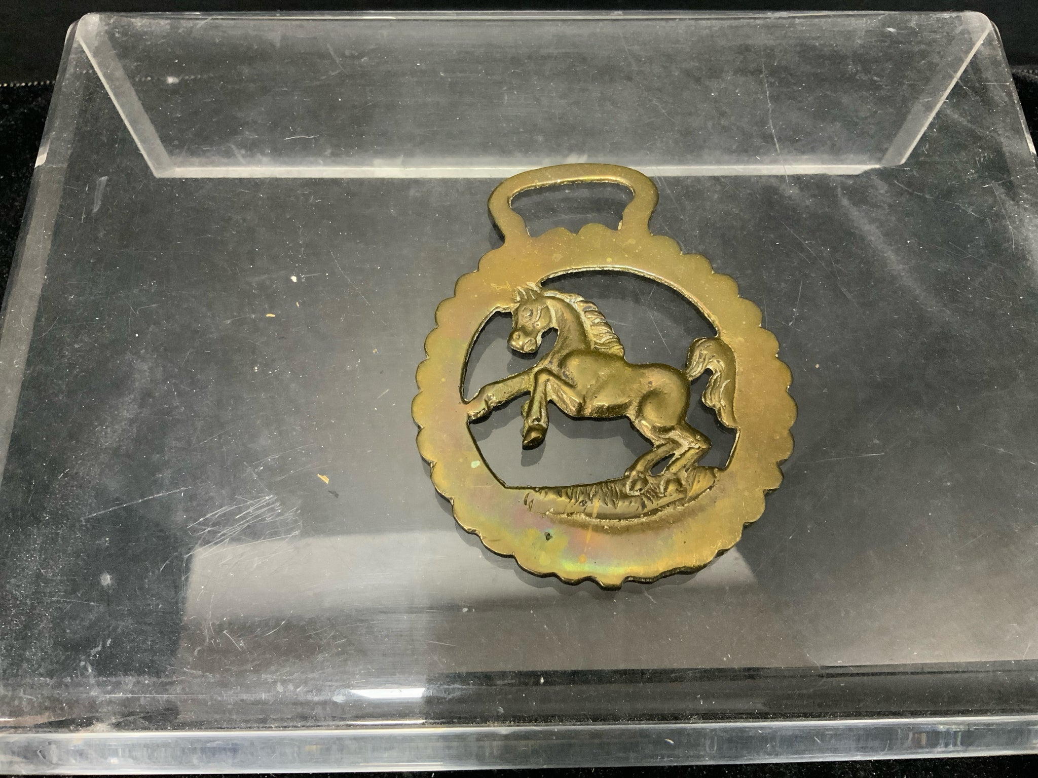 Horse Brass