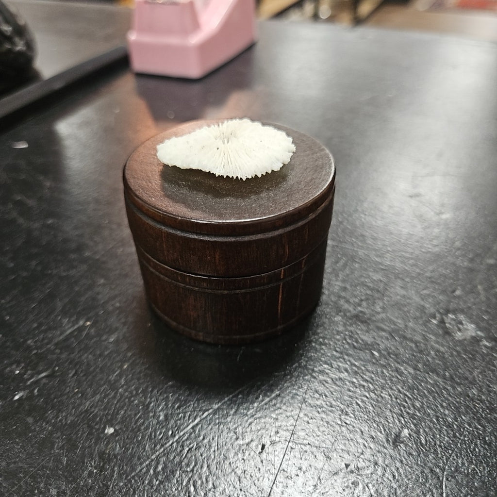 Lidded Box