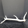Antler