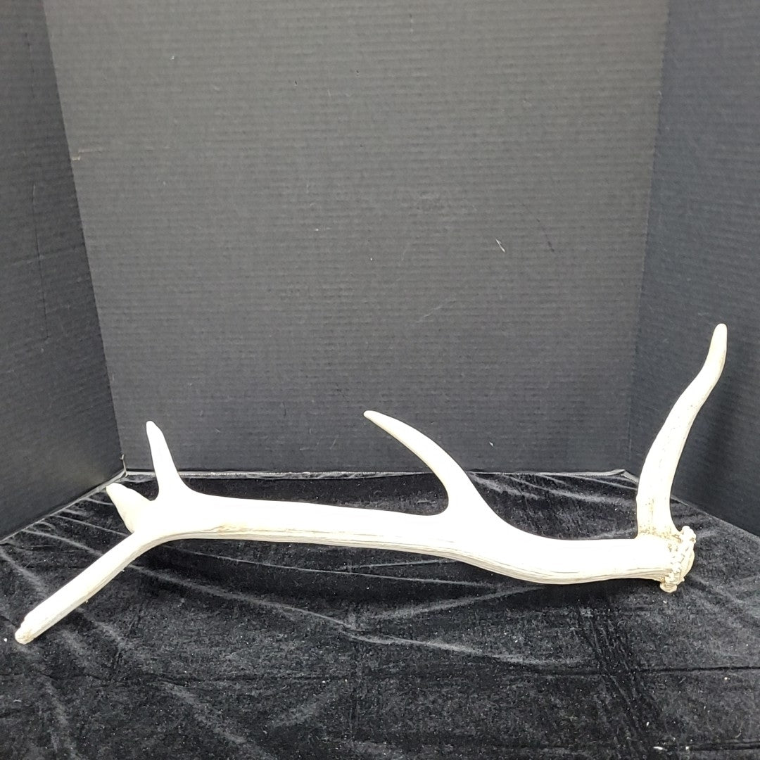 Antler