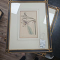Engraving Amaryllis