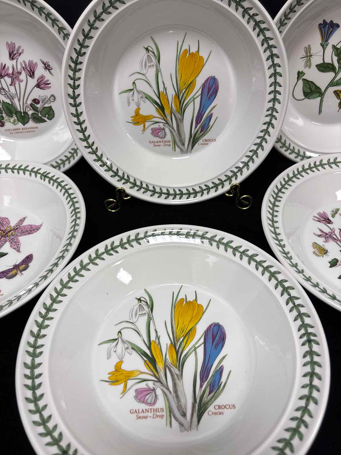Portmeirion Rimmed Soup Bowl