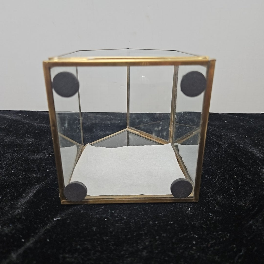 Terrarium
