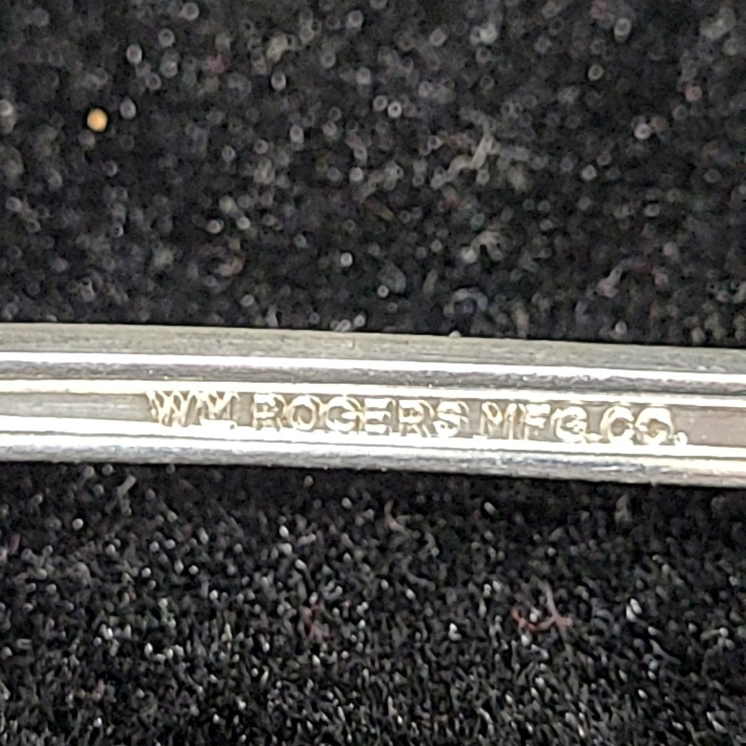 Wm Rogers Ice Tea Spoon