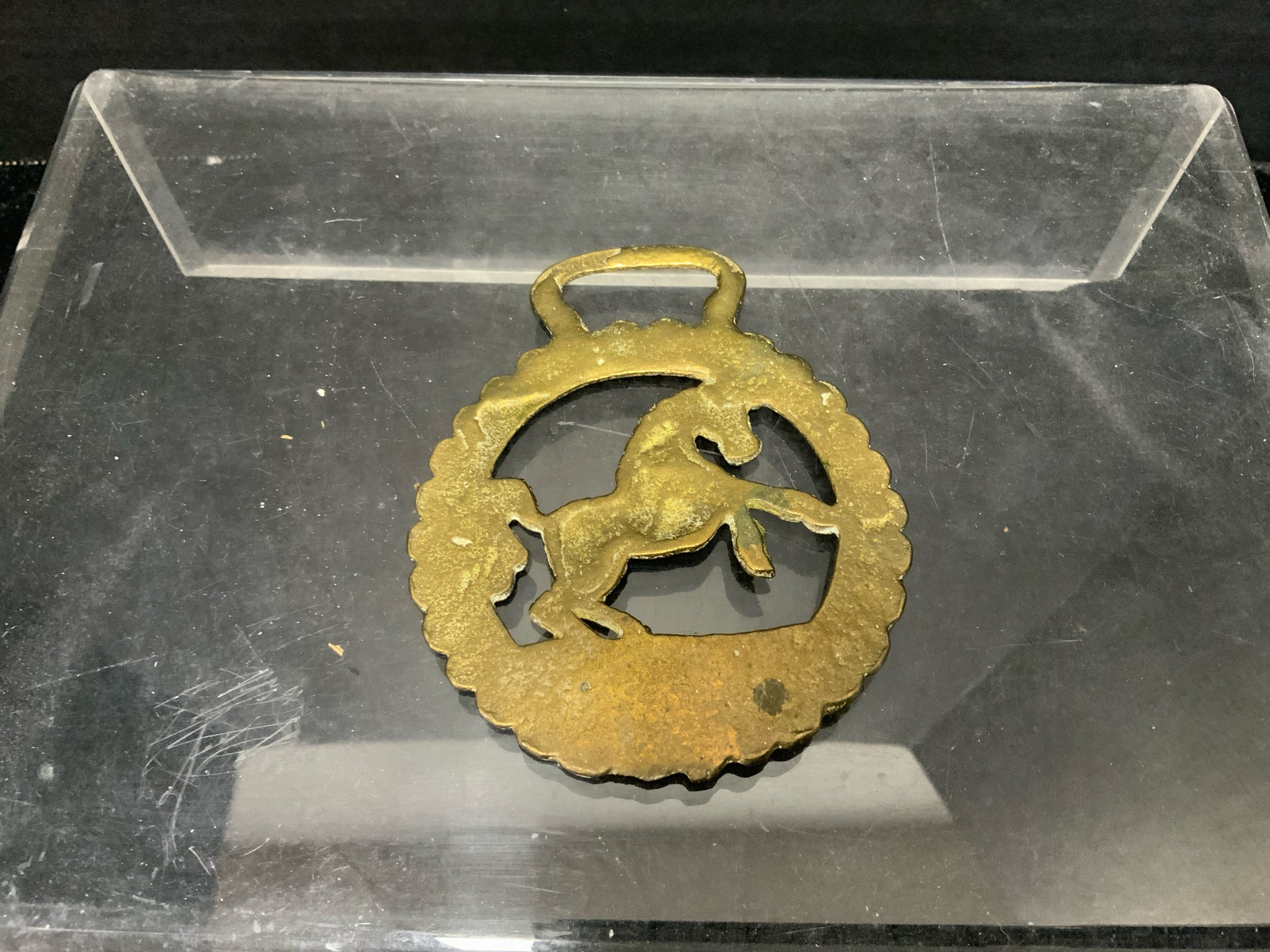 Horse Brass