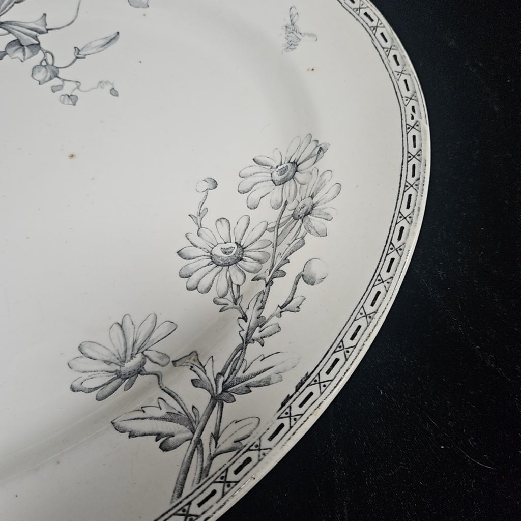 Wedgwood Platter