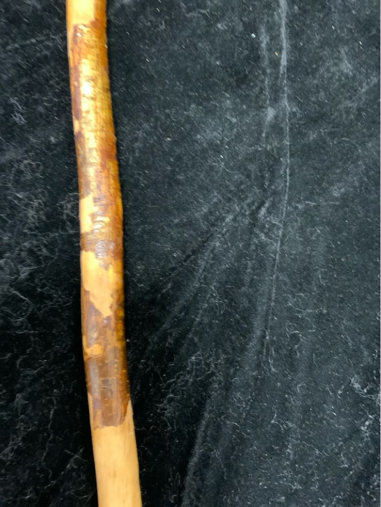 Walking Stick