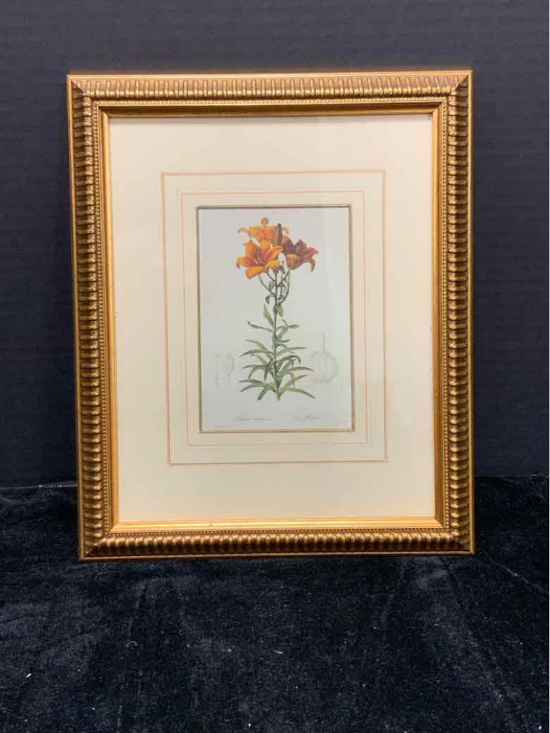 Botanical