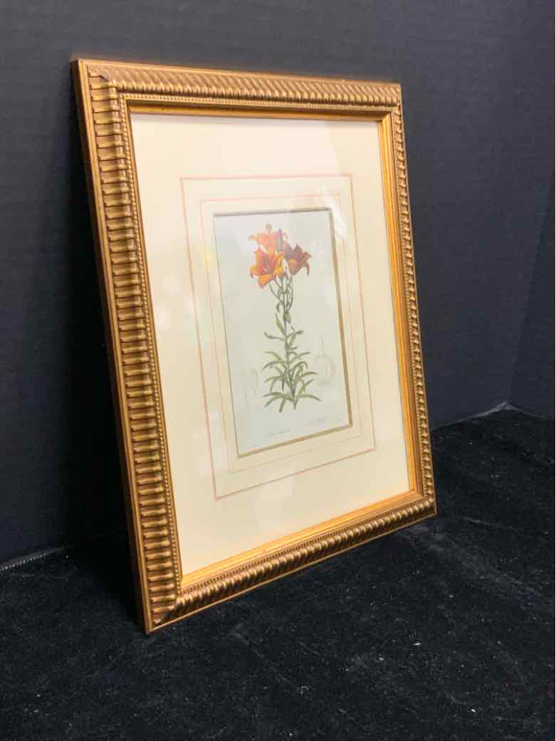 Botanical