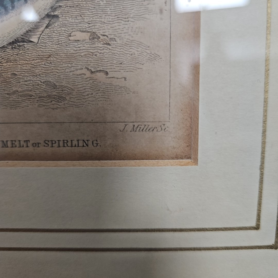 Etching