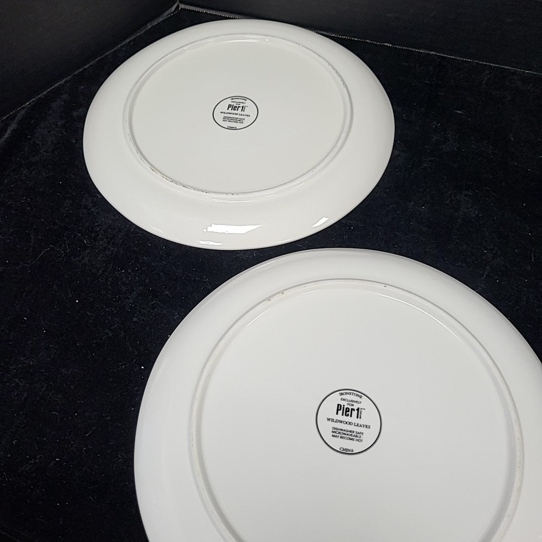 Pier 1 Dinner Plate