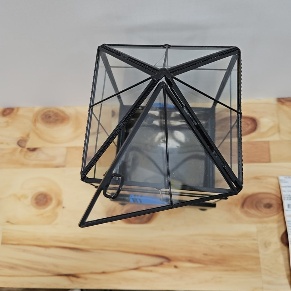 Terrarium