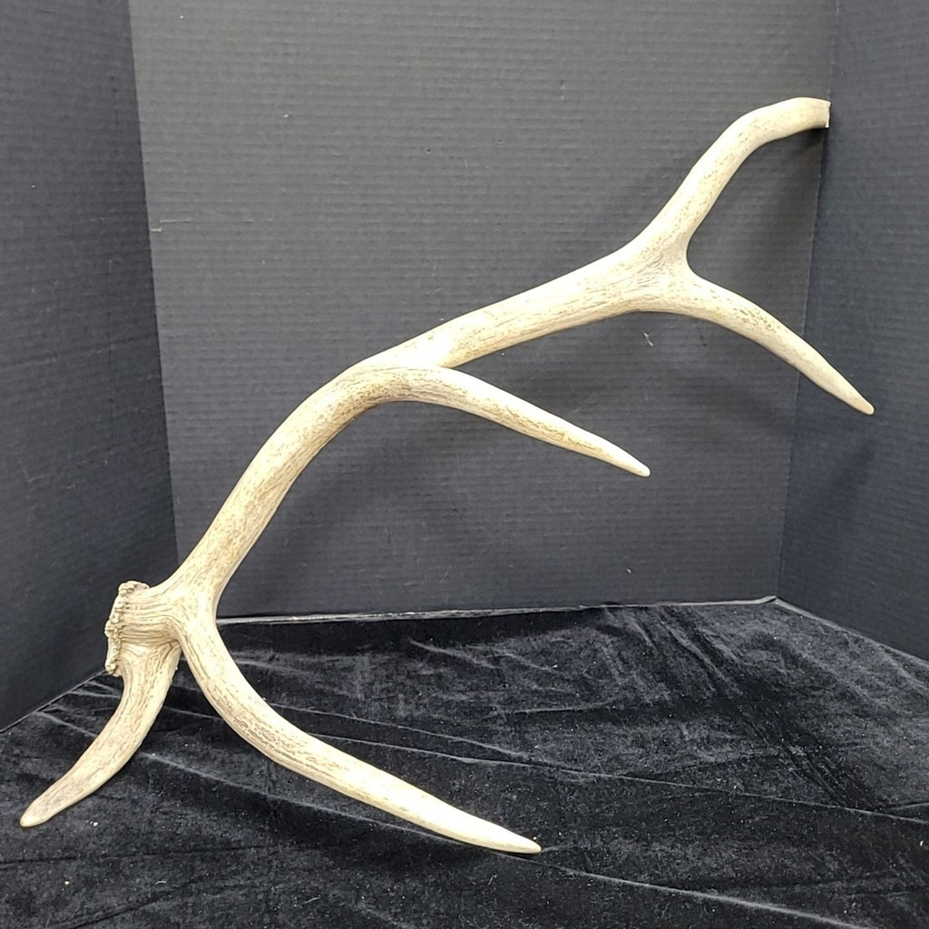 Antler