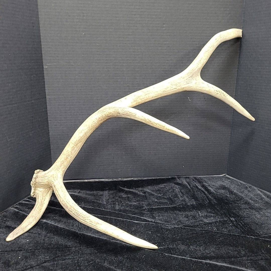 Antler