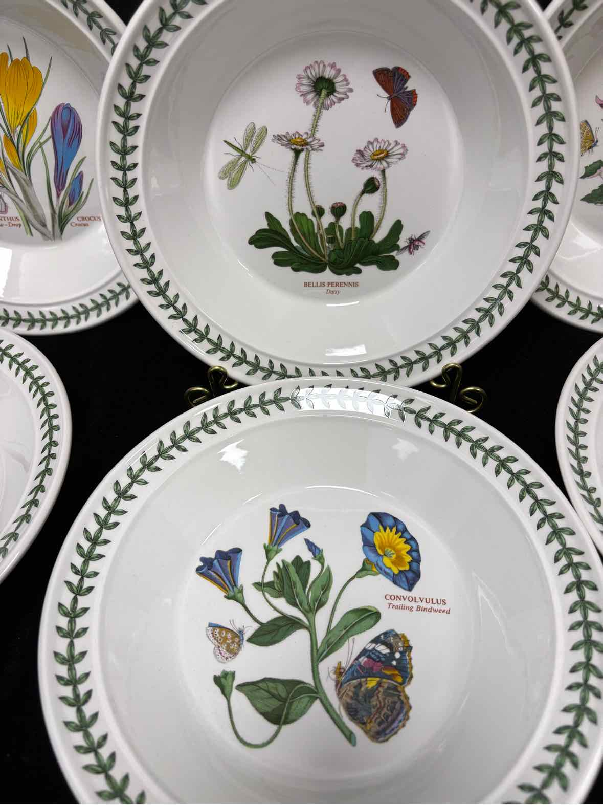 Portmeirion Rimmed Soup Bowl