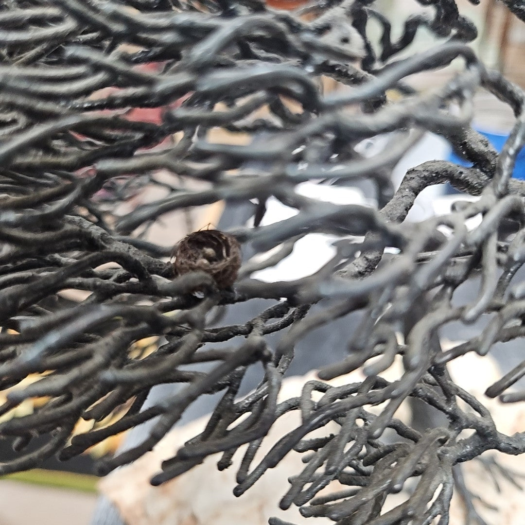 Bill Webb Sculpture