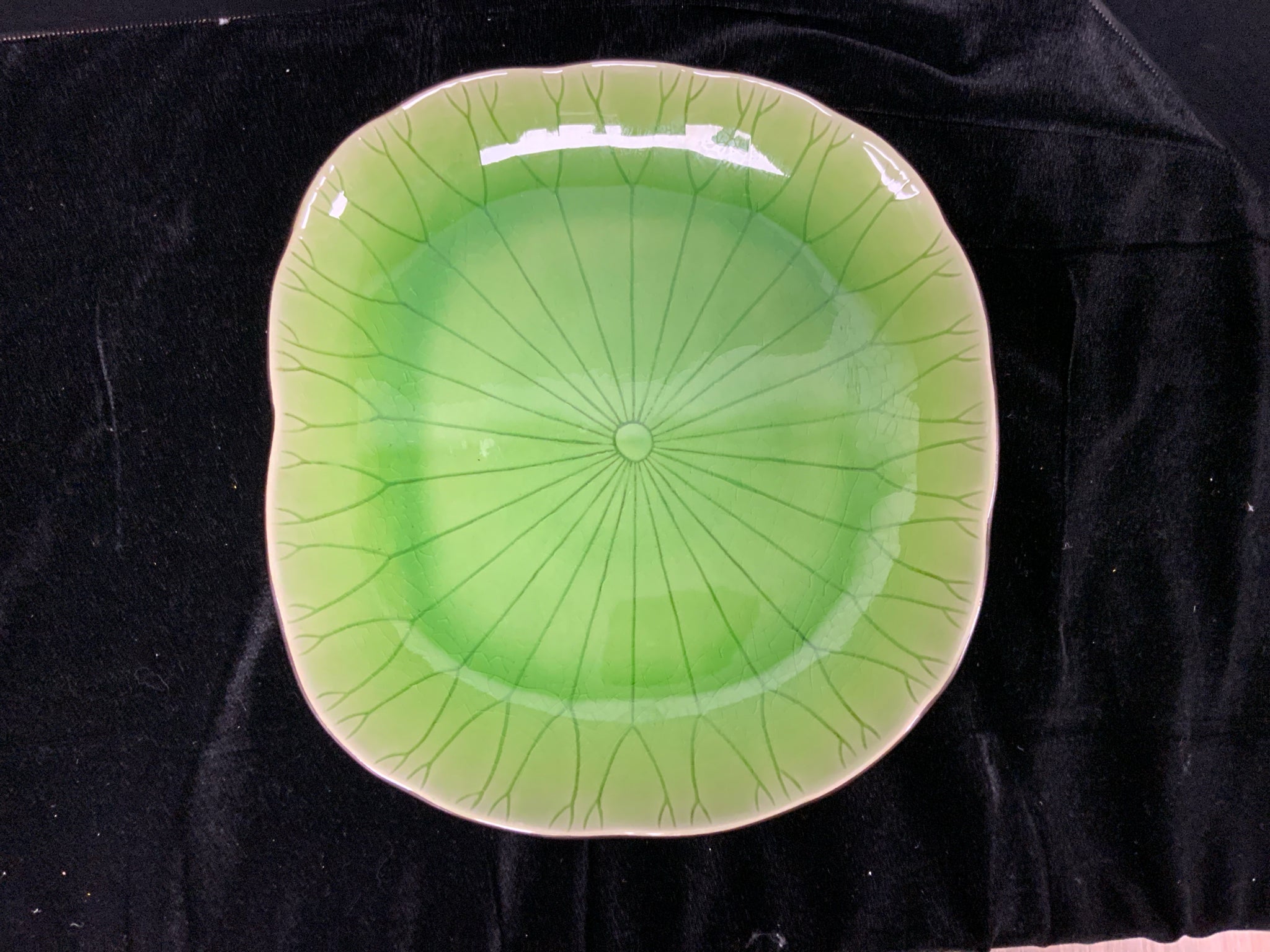 Dinner Plate
