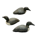 Decoy