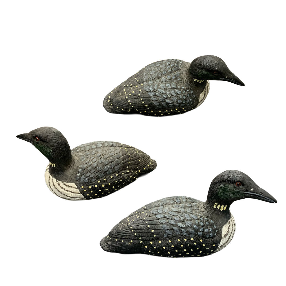 Decoy