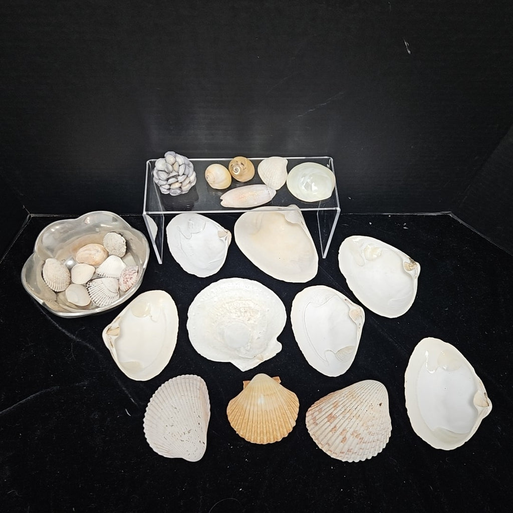 Shell