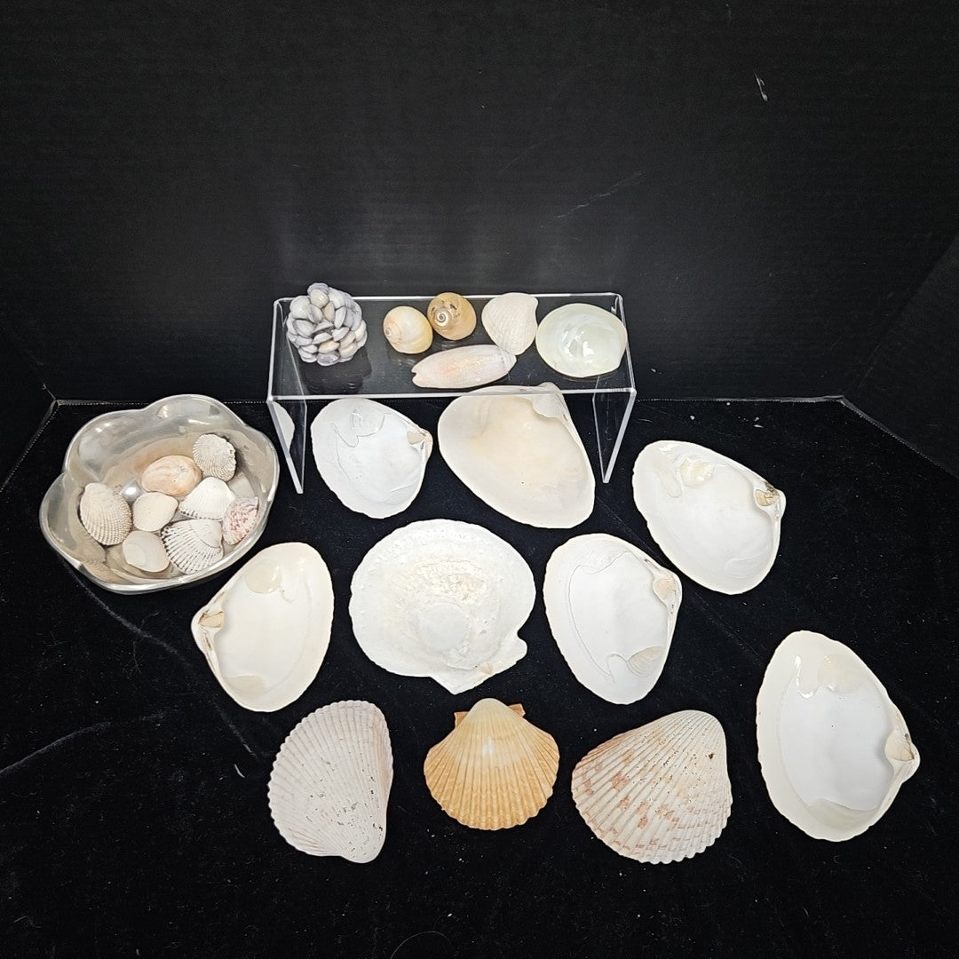 Shell
