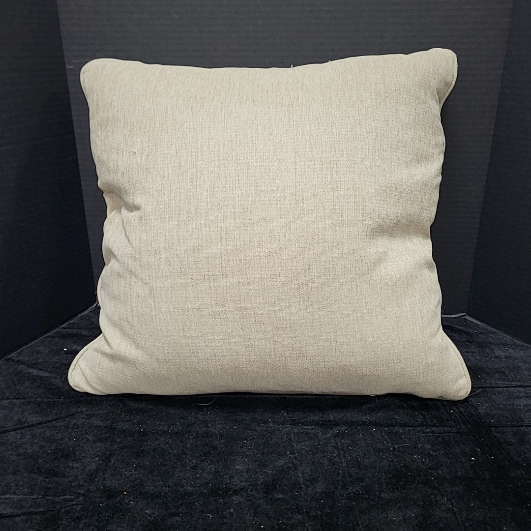 Throw Pillow