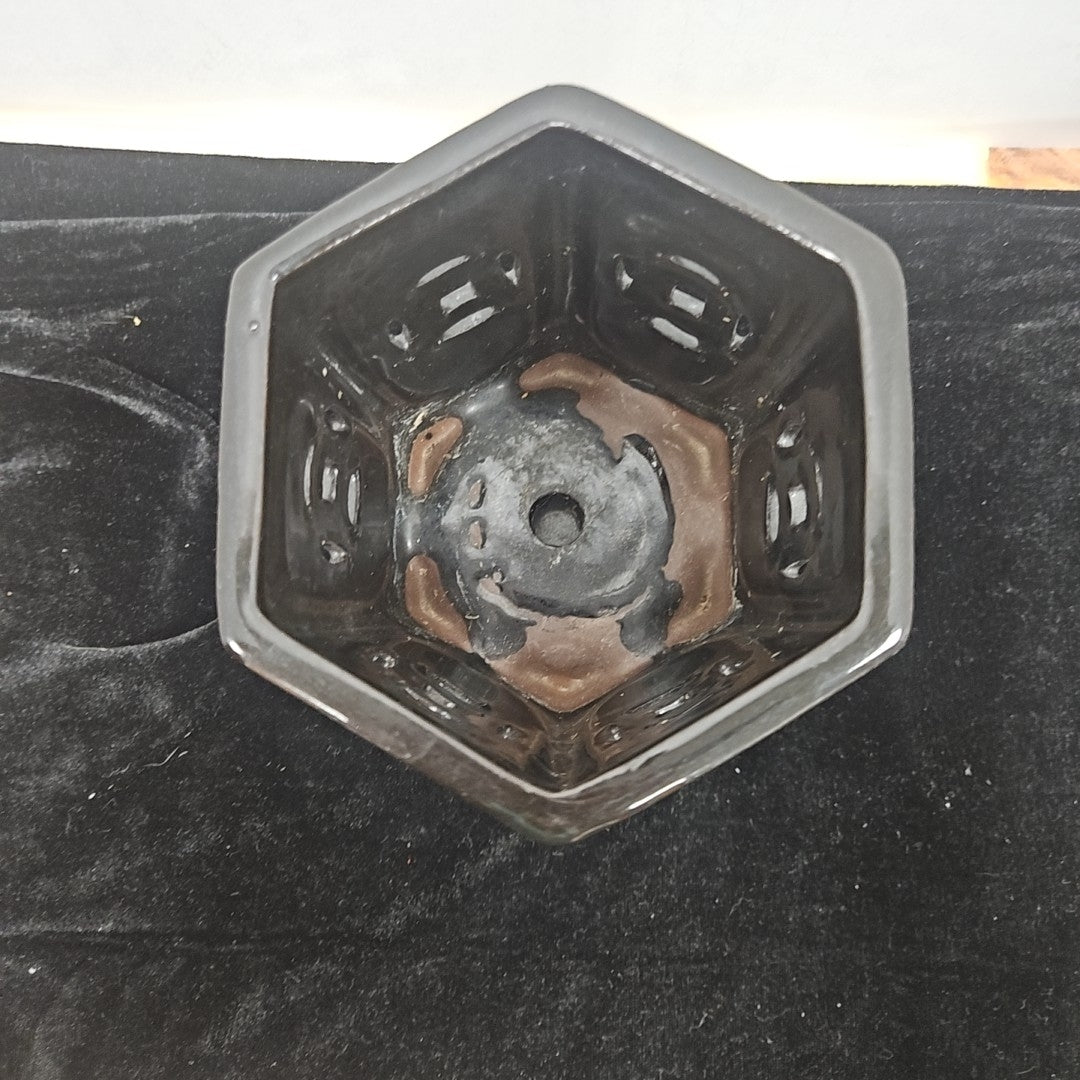 Orchid Pot