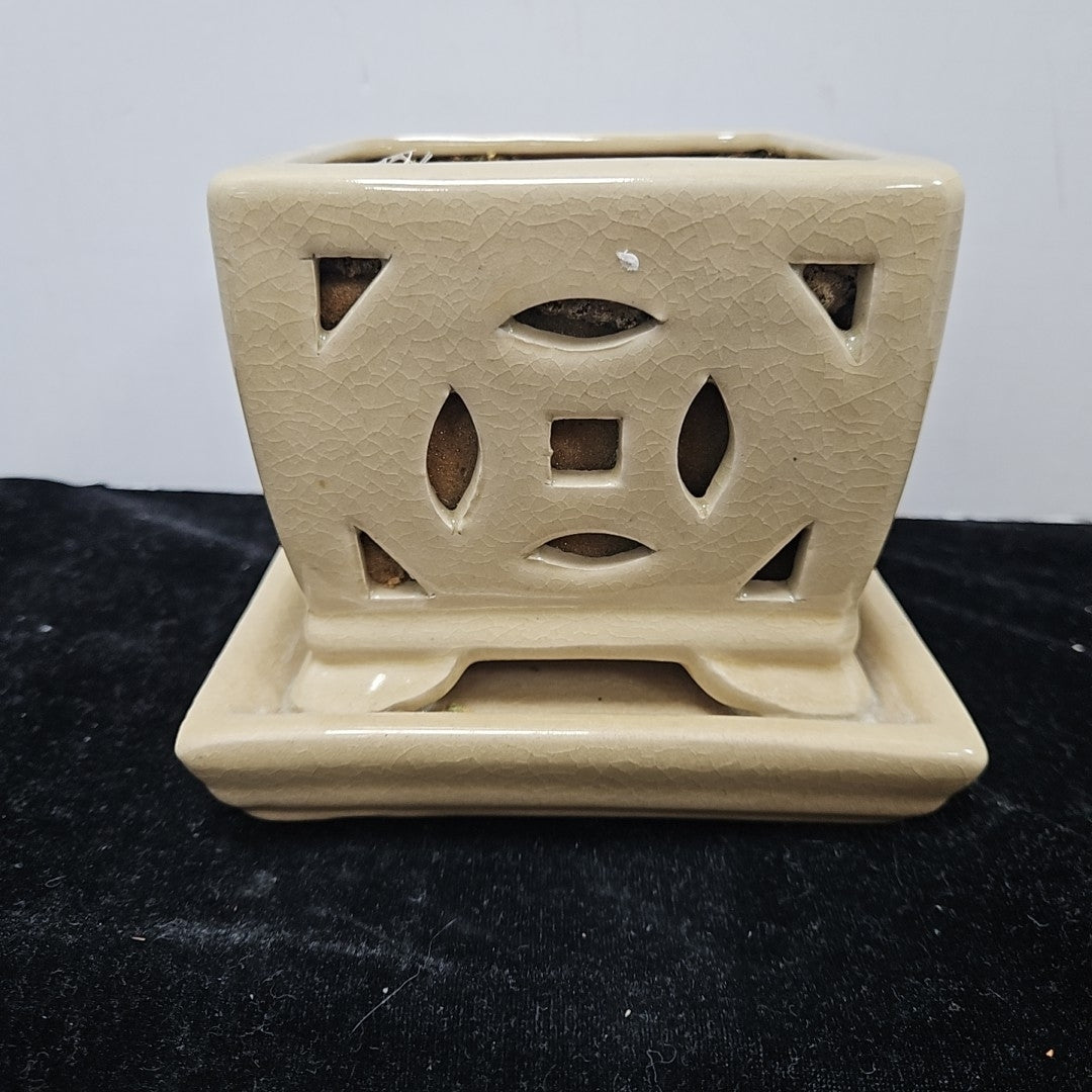 Flower Pot