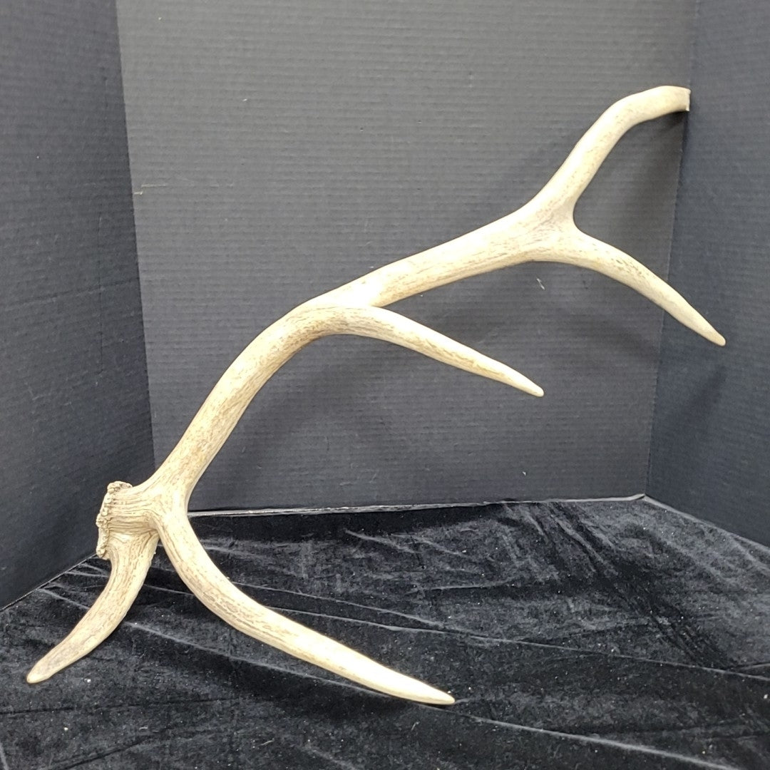 Antler