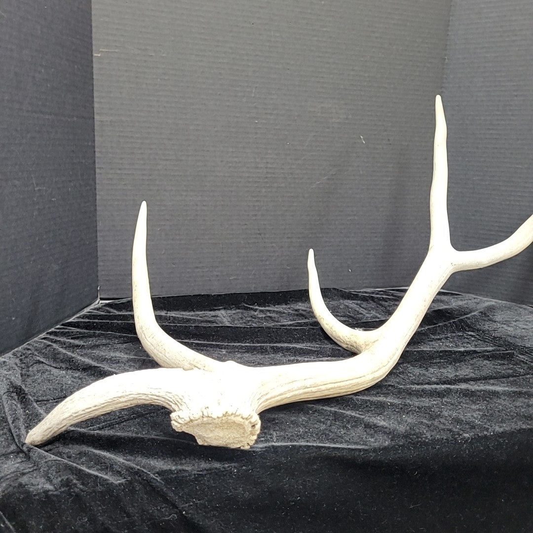 Antler