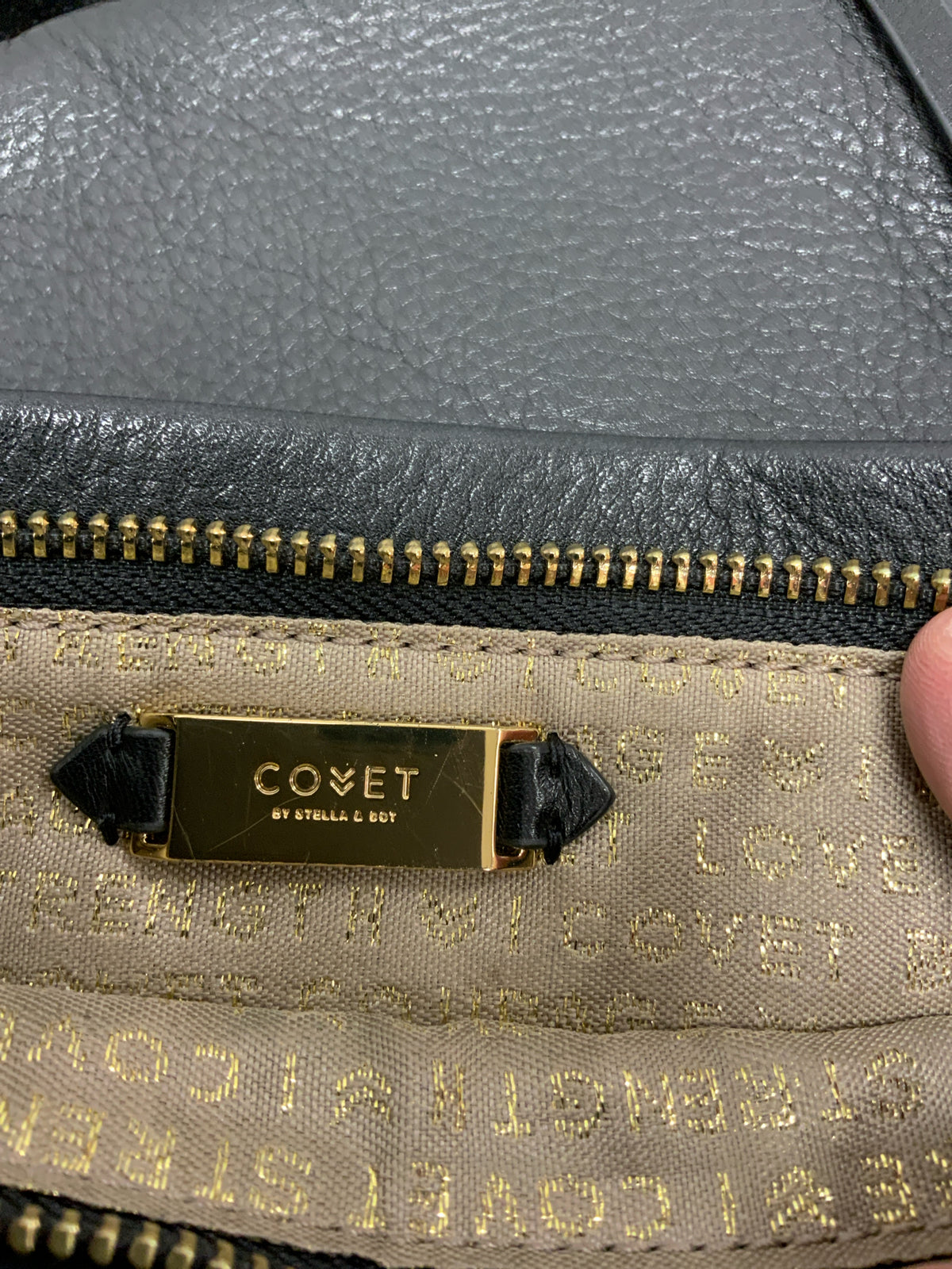 Stella & Dot Purse