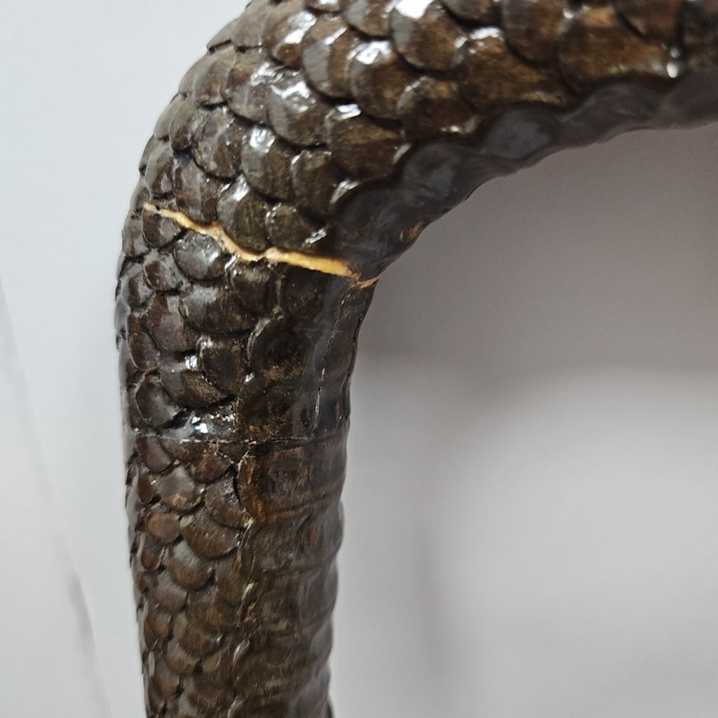 Walking Stick