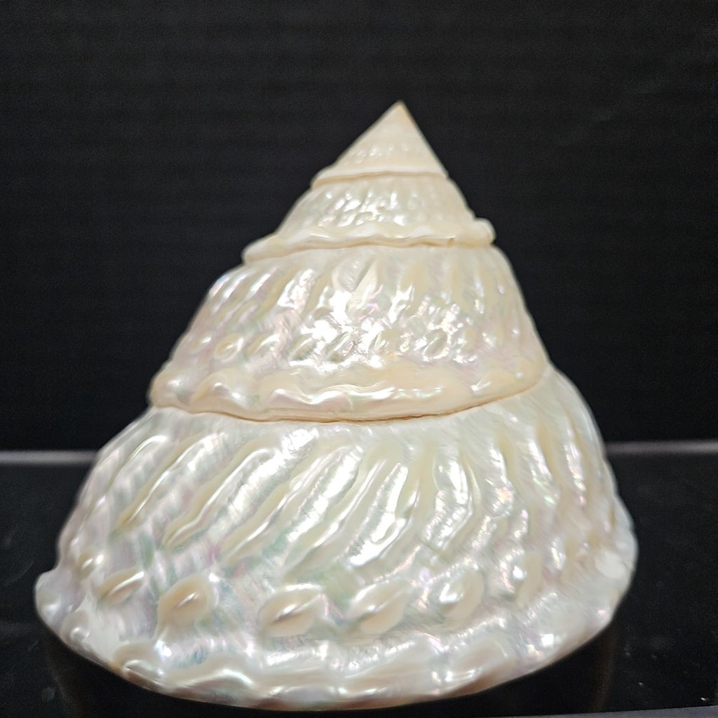 Shell