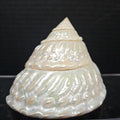 Shell
