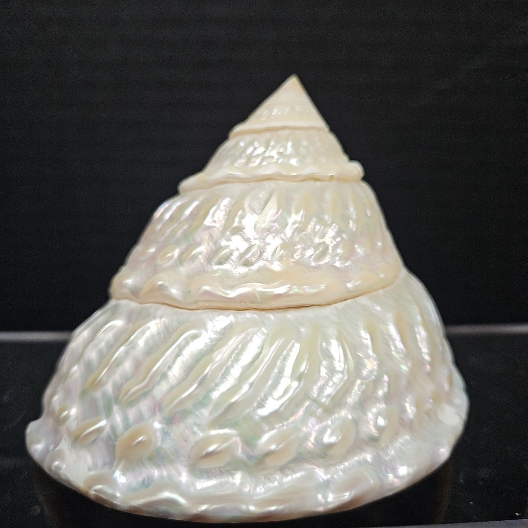Shell