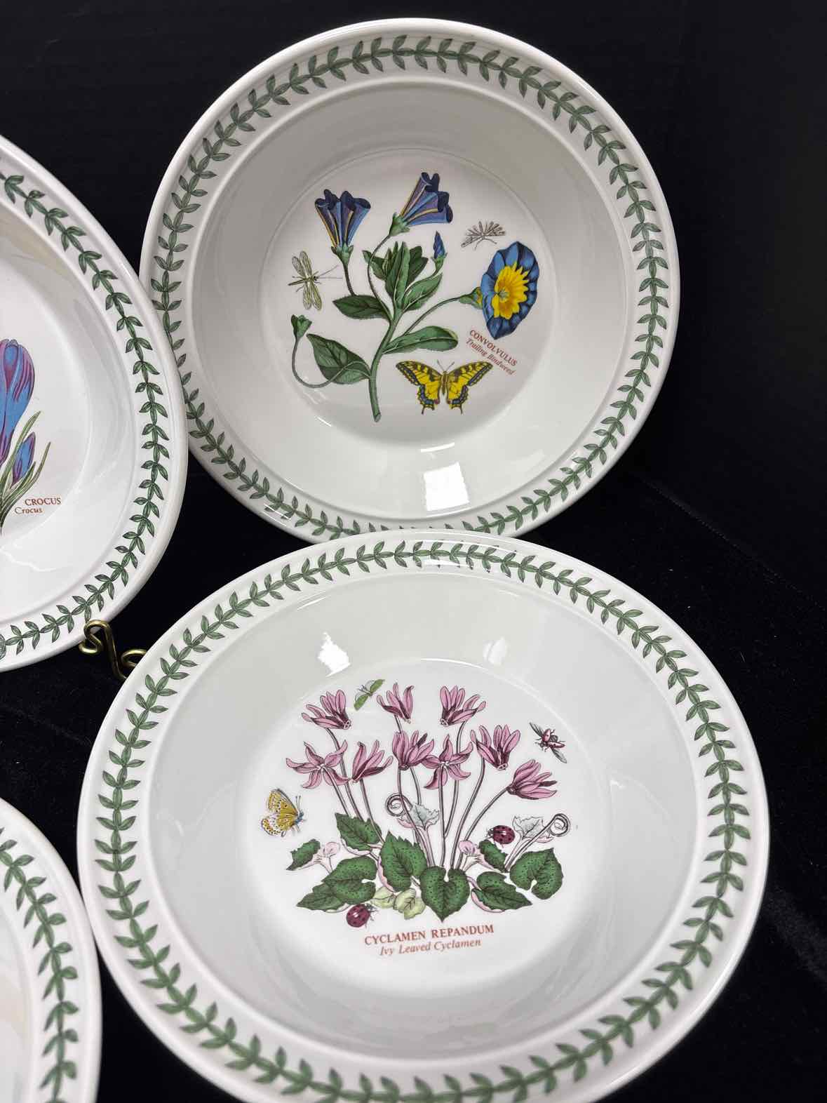 Portmeirion Rimmed Soup Bowl